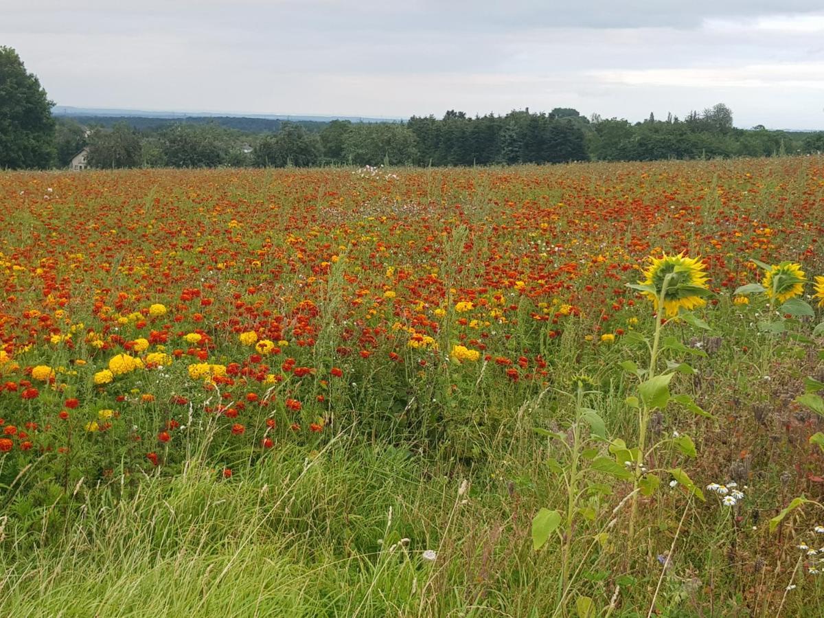 Schoene Aussicht Nideggen Luaran gambar