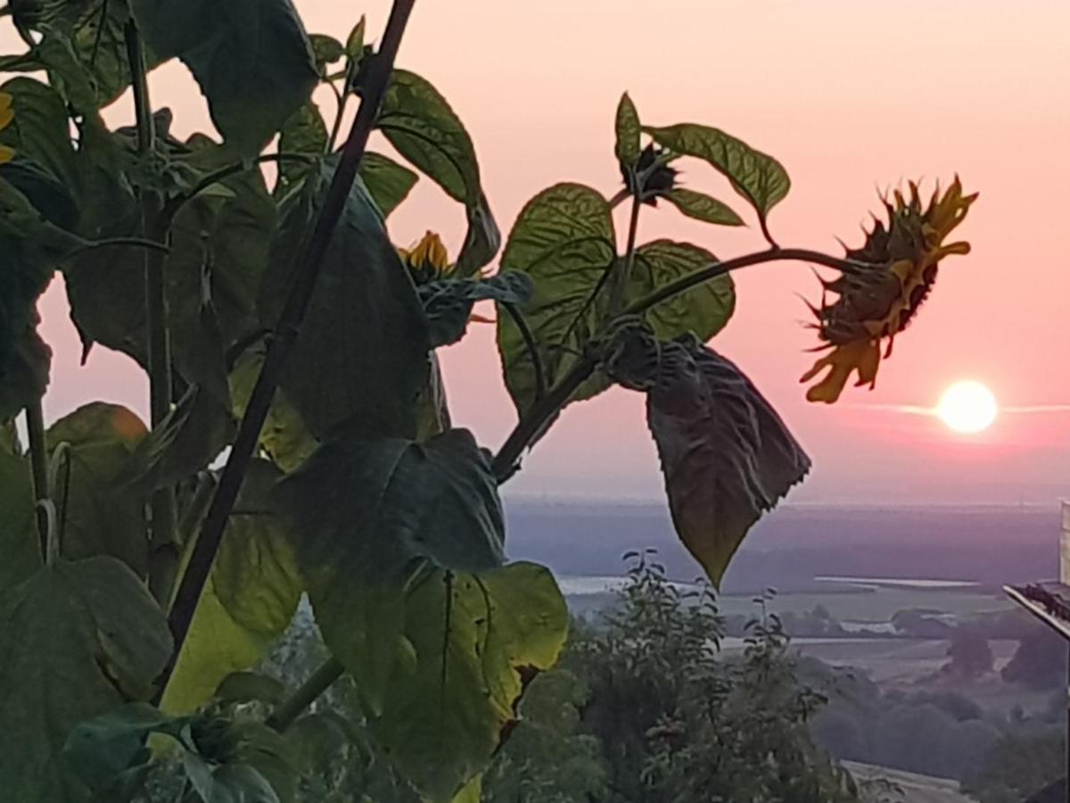 Schoene Aussicht Nideggen Luaran gambar